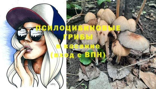 спиды Алексеевка