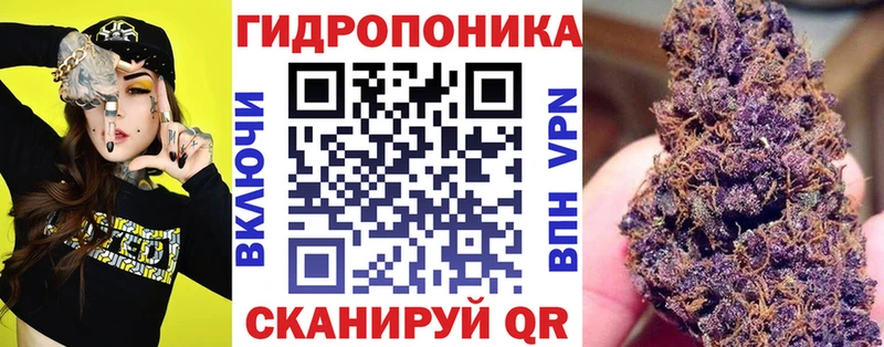 Бошки Шишки марихуана  магазин продажи наркотиков  Алушта 
